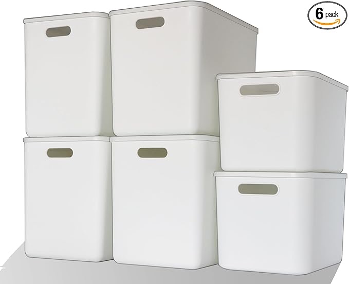 6 Pcs Storage Bins with Lids
